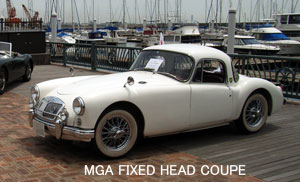 MGA-FHC
