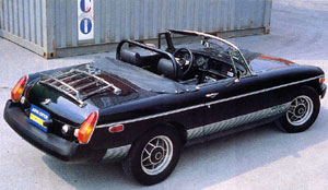 LEUS(300)