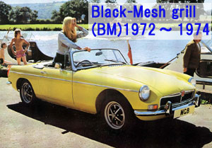 bmi300j